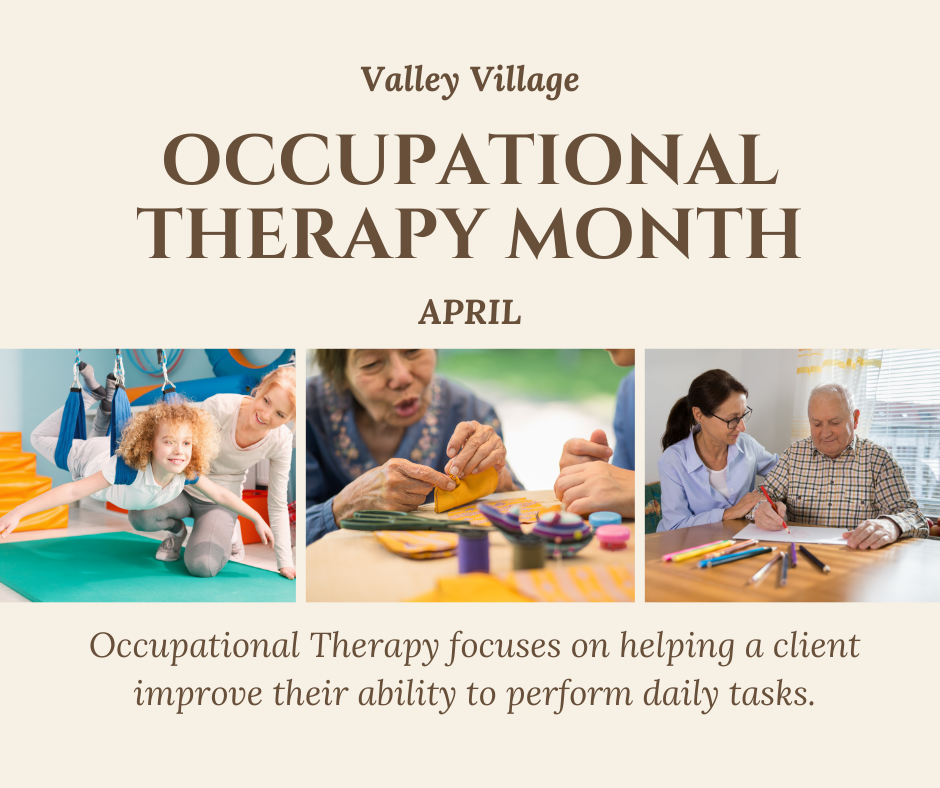 Occupational Therapy Month Cindy's Story Valley Village Where